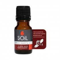 Organic Clove Oil | The Harvest Table