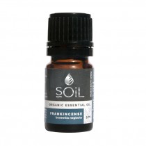 Organic Frankincense Oil | The Harvest Table