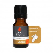 Organic Ginger Oil | The Harvest Table