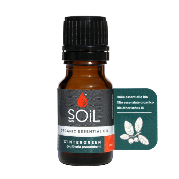 Organic Wintergreen Oil | Harvest Table