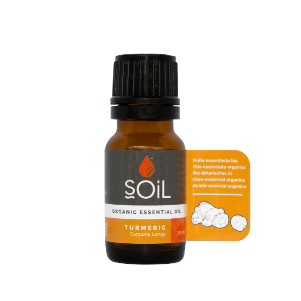 Organic Turmeric Oil | Harvest Table