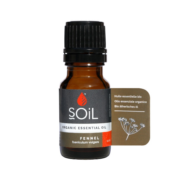 Organic Fennel Oil | The Harvest Table