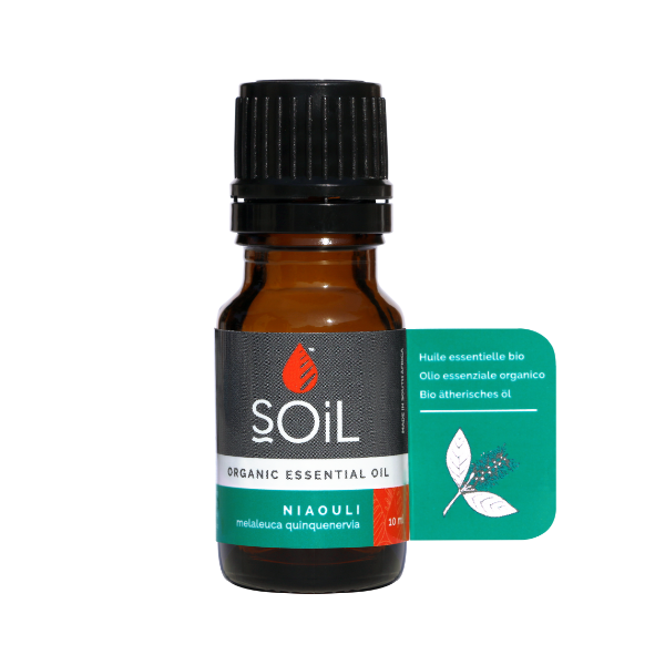 Organic Niauoli Oil | Harvest Table